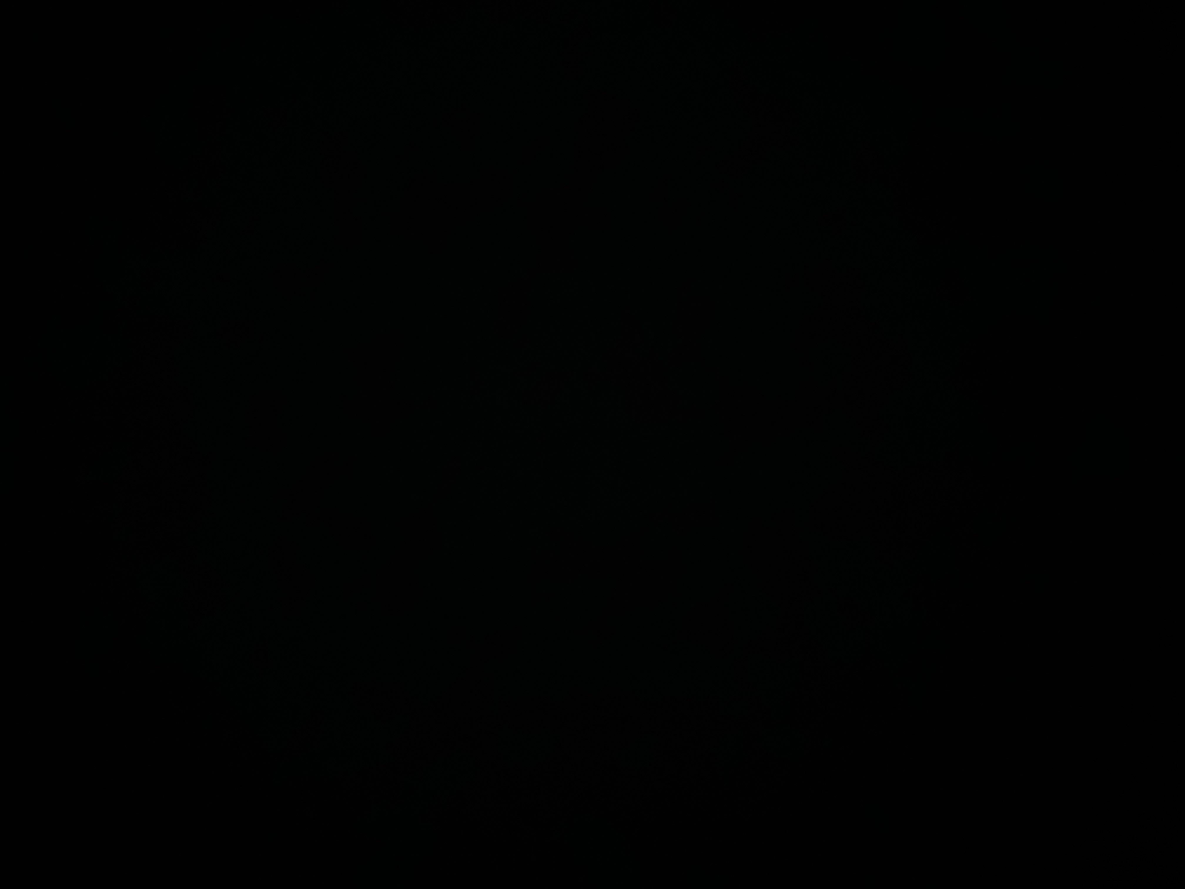 Električno podesiva sjedala