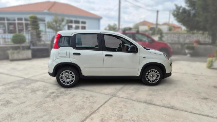 Fiat Panda 1,0 BSG Hybrid Panda