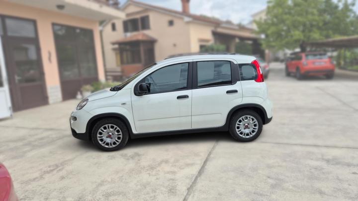 Fiat Panda 1,0 BSG Hybrid Panda