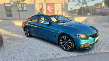 BMW SPORT LINE