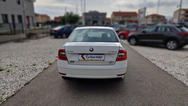 Škoda Octavia 1,6 TDI Ambition